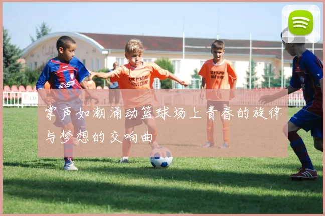 掌声如潮涌动篮球场上青春的旋律与梦想的交响曲