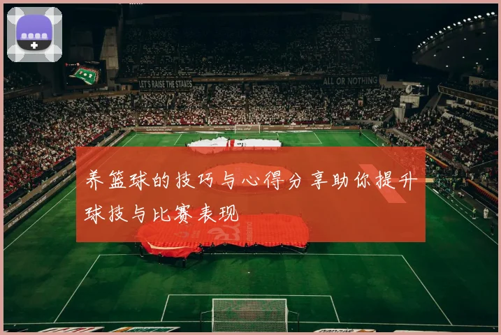 养篮球的技巧与心得分享助你提升球技与比赛表现