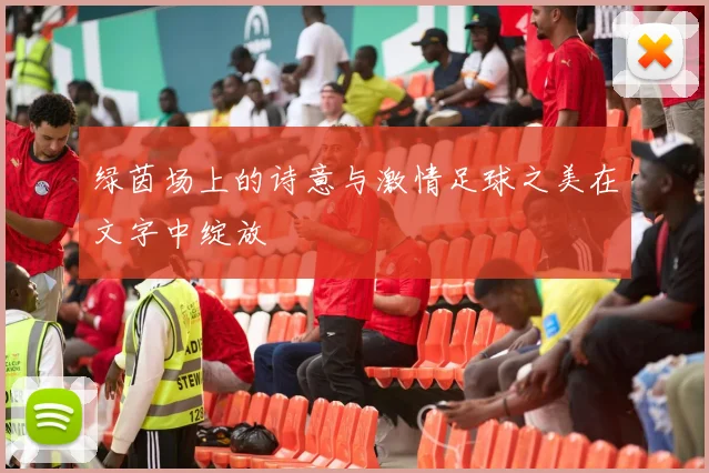 绿茵场上的诗意与激情足球之美在文字中绽放