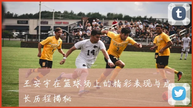 王安宇在篮球场上的精彩表现与成长历程揭秘